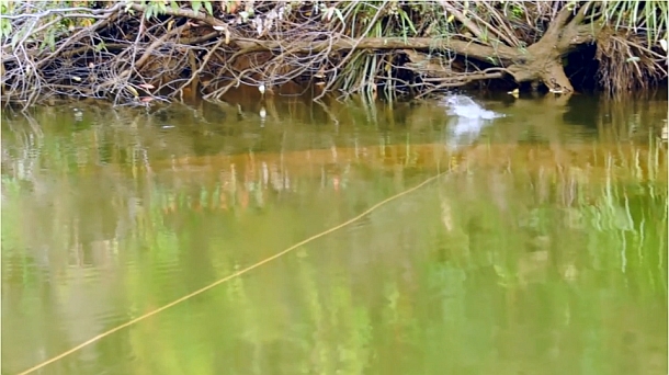 Image: Mick Fletoridis